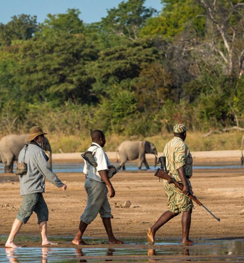 1-special-interest-walking-safaris-page-featured-image