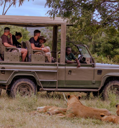 20230702150835__MG_1603