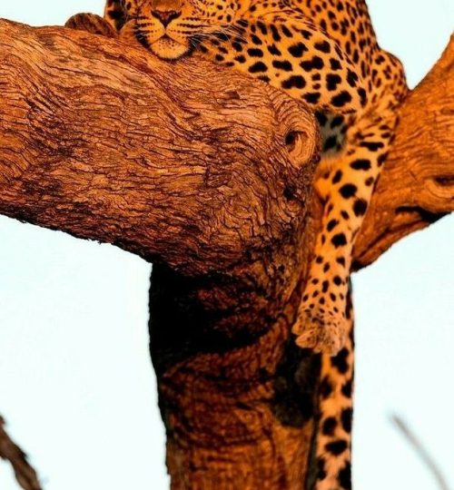 21378704d103e5aac8b4411e1849d335