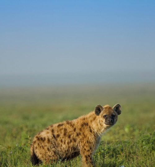 474831298_18154947538356628_1174893246397883437_n