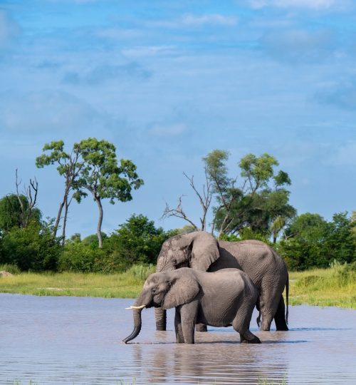 481008526_18488958835021120_6867860941739622793_n