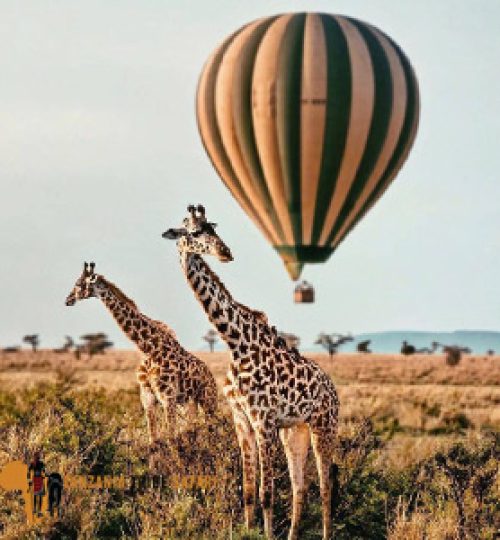 Experience-Serengeti-Balloon-gal-img3