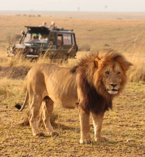 b9cc6340fe9b1949313042207988bcd6