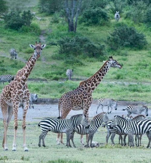 d2e1bf1987045728a818934c08ae1da0