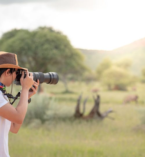 Young man traveler and photographer taking photo of wildlife animal in African safari. Wildlife photography concept
