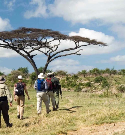 walking_safari_in_east_africa_tanzania