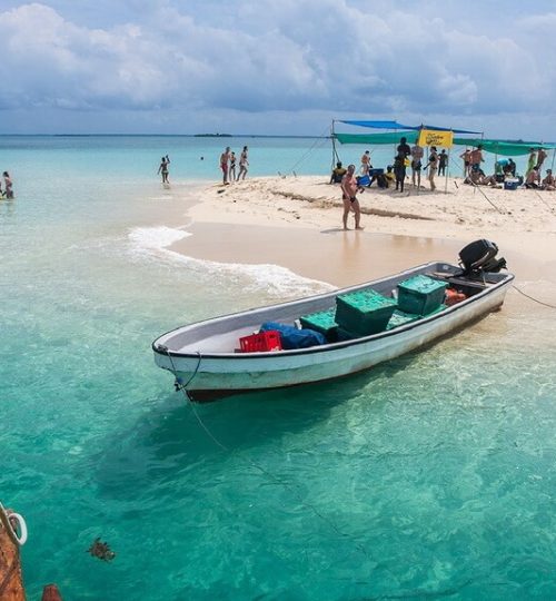 ztrans-best-zanzibar-taxi-and-tours-zanzibar-dolphin-tour-5